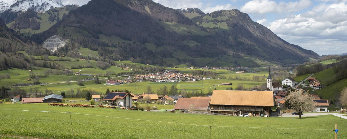 Landschaftskonzept Schweiz