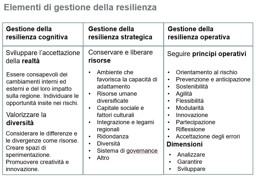Elemente Resilienzmanagement