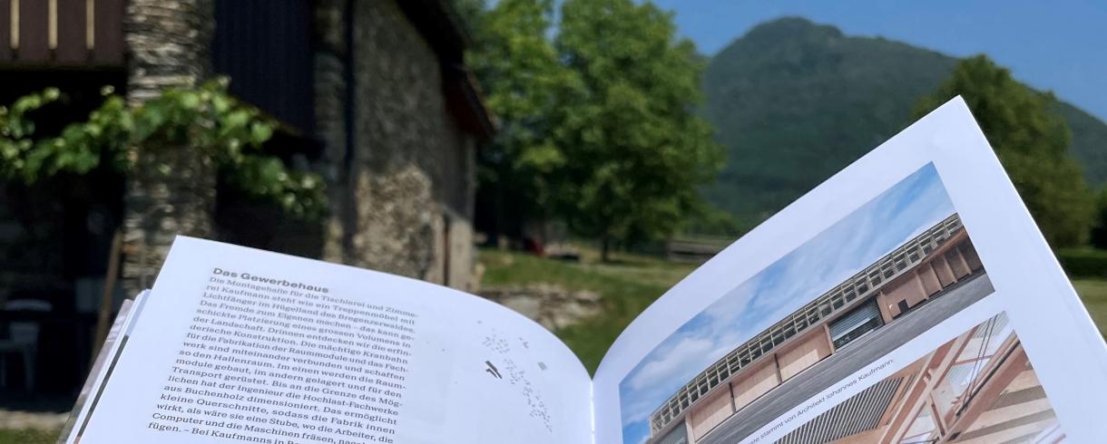 Buch Bauen in den Alpen