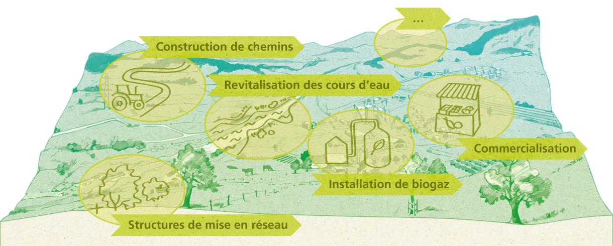 Processus de développement de l’espace rural (PDER)