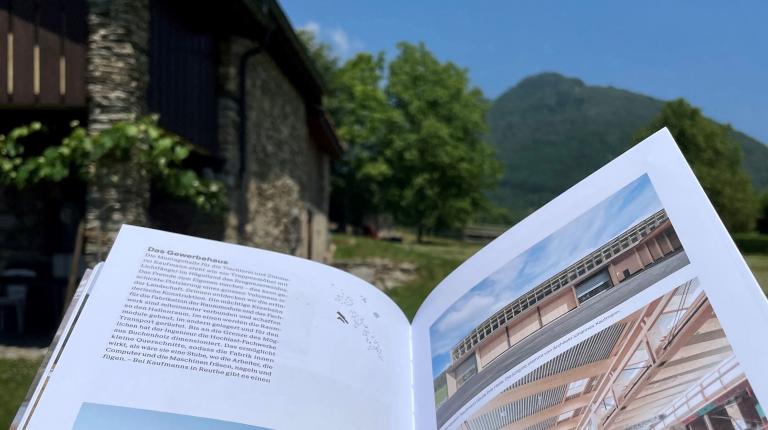 Buch Bauen in den Alpen