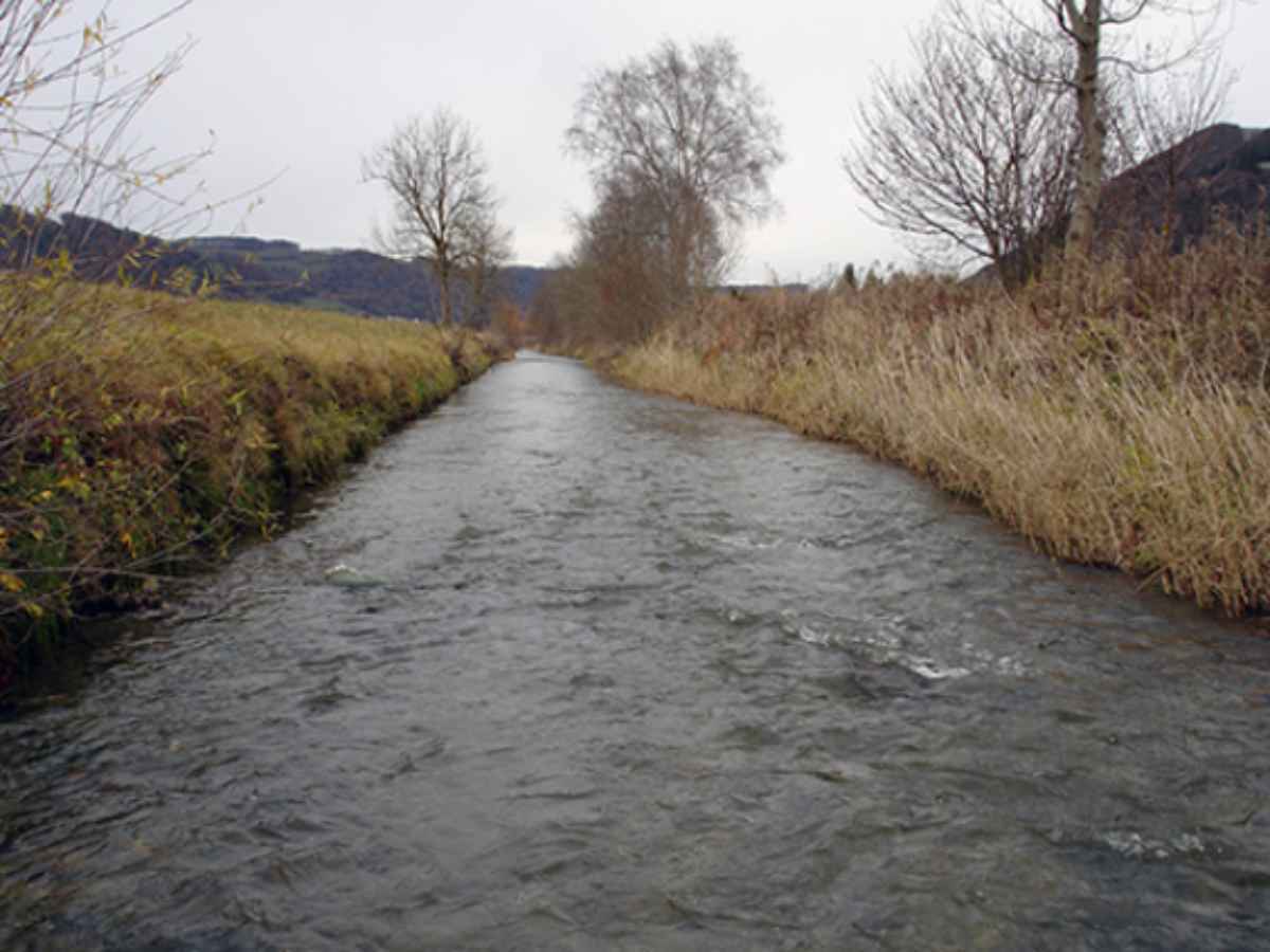 Protezione e utilizzazione delle acque nelle valli dell’Aar e della Gürbe