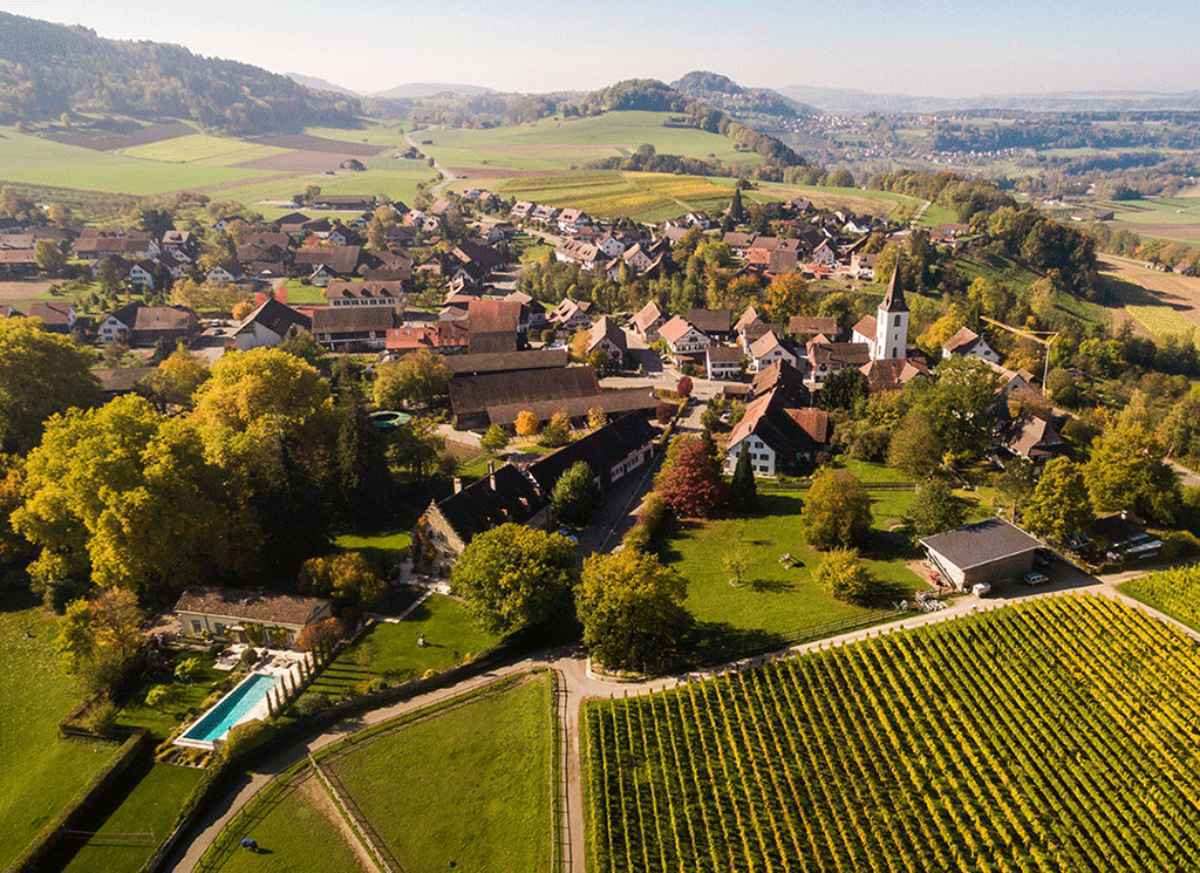 Zürcher Weinland: Integrale netzwerkbasierte Regionalentwicklung