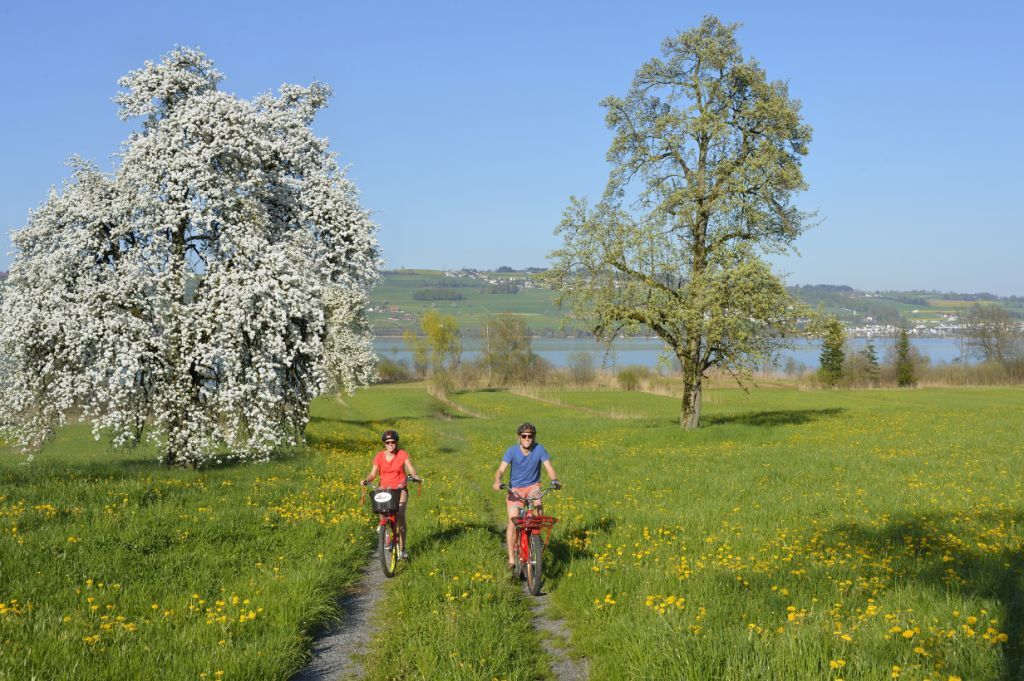 Bewegung & Genuss mit E-Bike in der Region Sempachersee