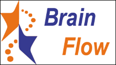 Brain Flow (NRP-Projekt von 2010 bis 2014)