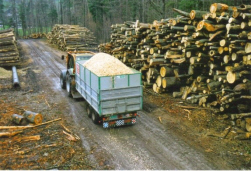 Holzenergie Wärmeverbund Sarnen